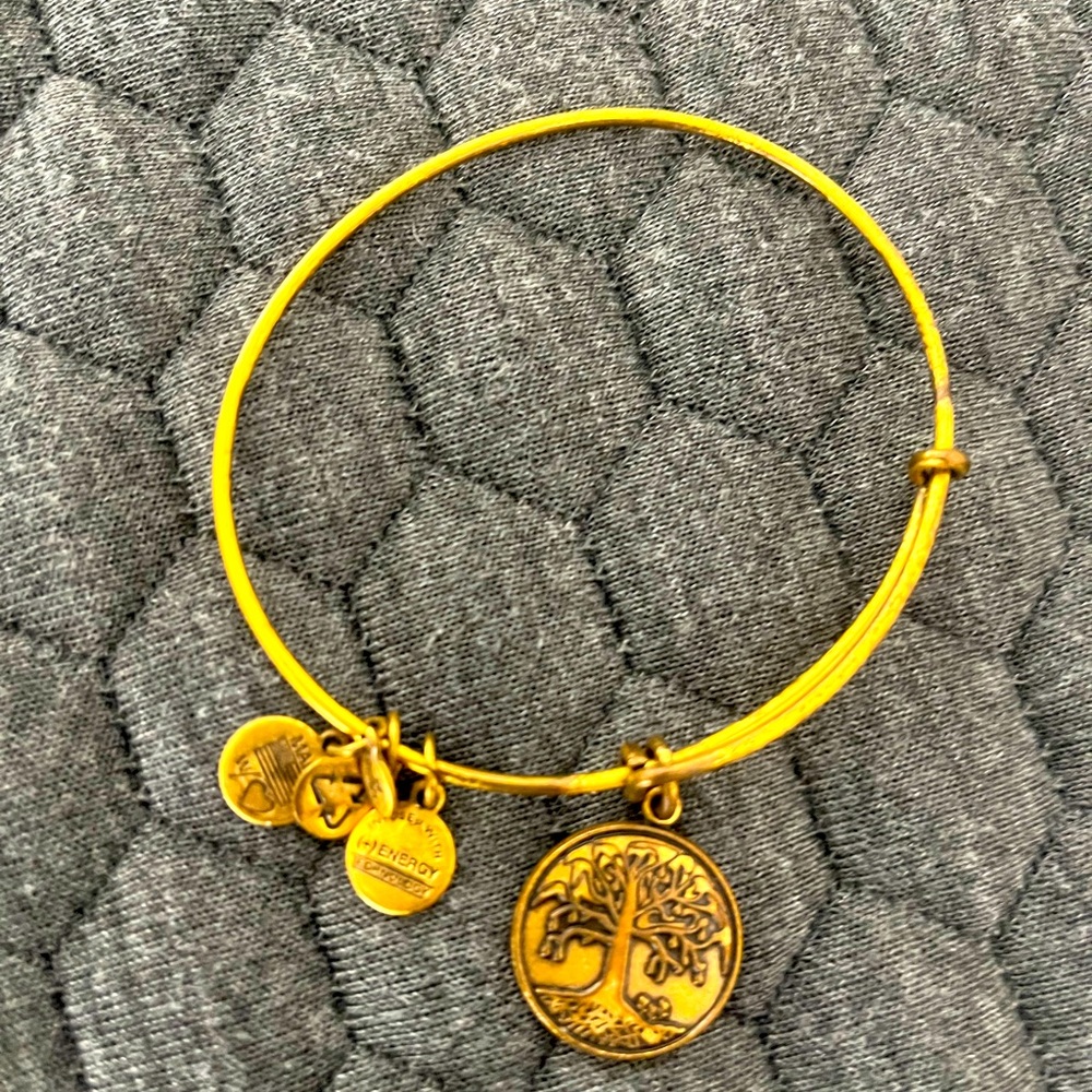 Alex and Ani Tree of Life Bracelet